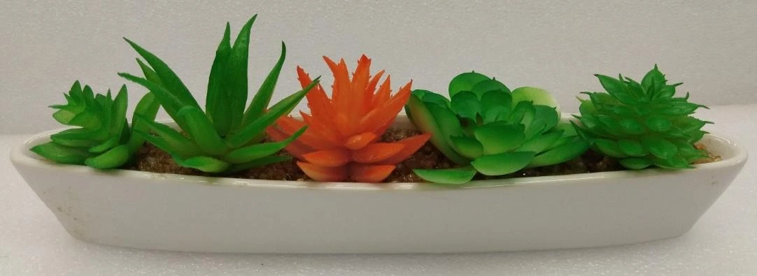 Bonsai in Ceramic Boat Mix 3 design for each 4 Flower